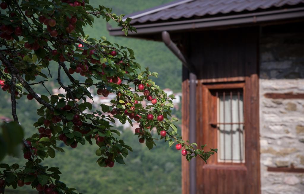 Radika View House Apartment Galicnik Luaran gambar