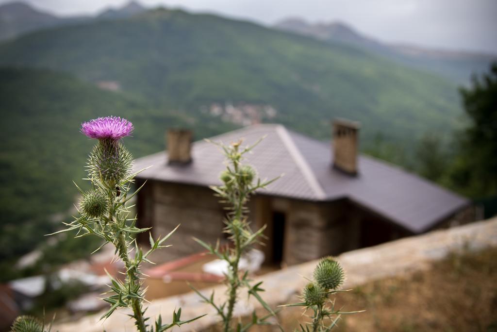 Radika View House Apartment Galicnik Luaran gambar